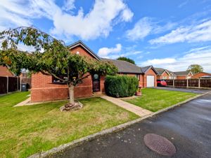 Photo 15- click for photo gallery